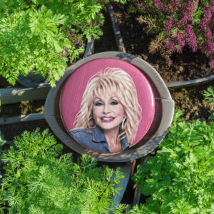 Dolly Pin Buttons